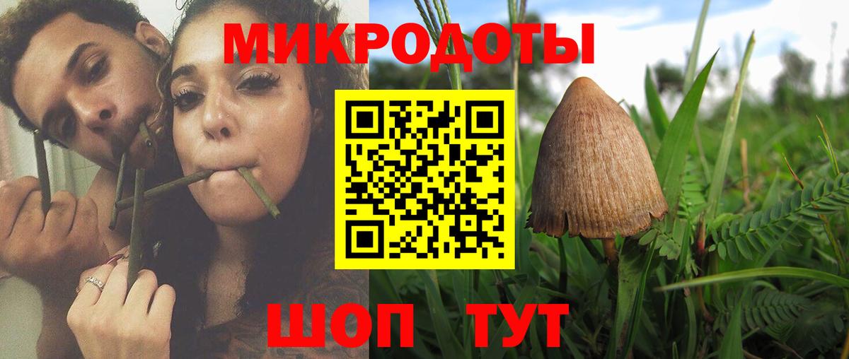 Кинель  Галлюциногенные грибы прущие грибы  Галлюциногенные грибы Psilocybine cubensis  Вход с VPN 
