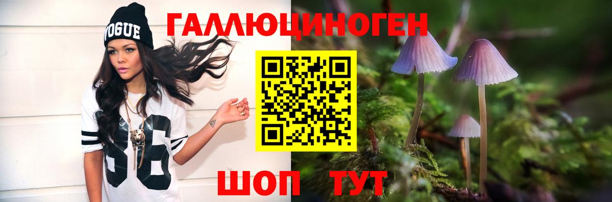 Галлюциногенные грибы Cubensis Кинель